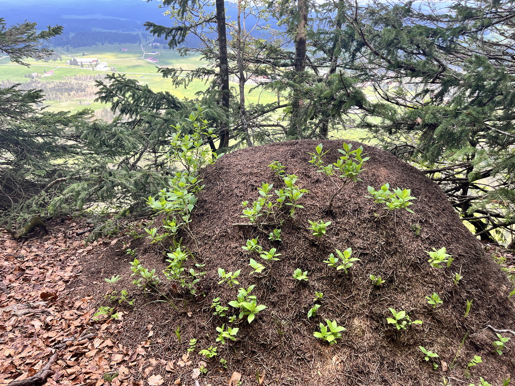 23-05-23 10-31-57 5572